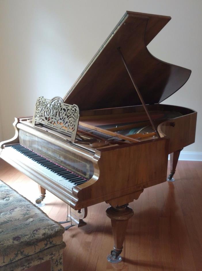 Vintage RARE 1879 Friedr Ehrbar Baby Grand Piano made in Vienna, Austria #op6420