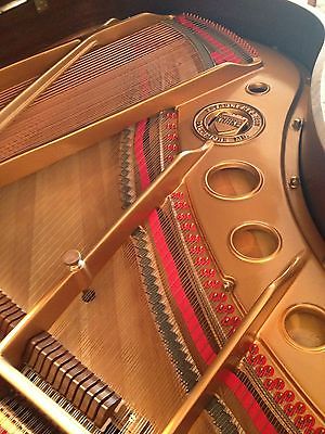 1961 completely rebuilt baby grand Knabe piano
