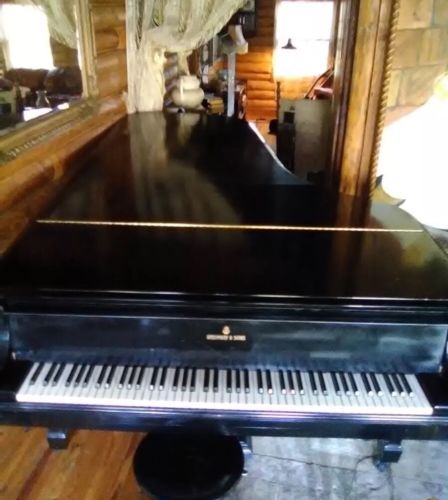 Steinway Concert Grand Piano model D