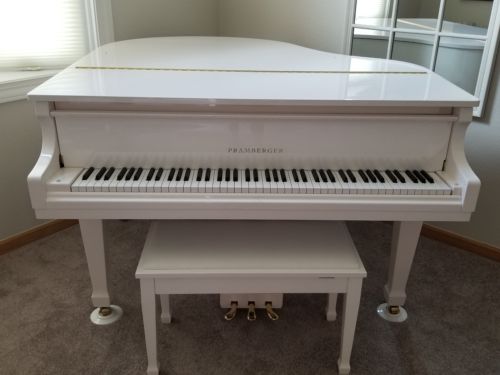 Pramberger Grand Piano LG145