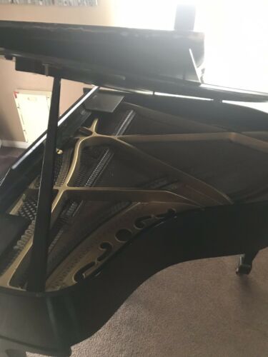 Brambach baby grand piano black