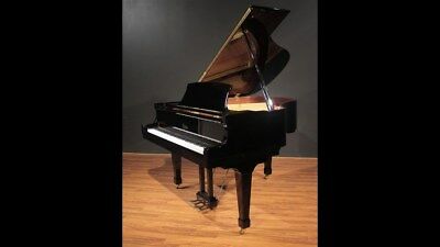 Boston Steinway  grand piano & Yamaha bench free pianodisc  self player !