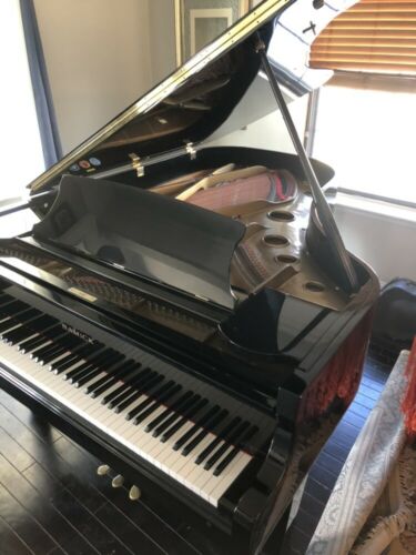 Samick Grand Piano 6’9” Great Condition.  Built In 1987 Ready To Be Enjoyed!