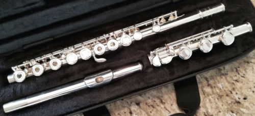 TREVOR JAMES PRIVILEGE II OPEN HOLE FLUTE! SOLID SILVER RISER, B FOOT, GORGEOUS