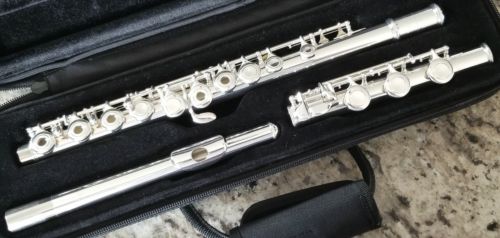 TREVOR JAMES PRIVILEGE II OPEN HOLE FLUTE! B FOOT,  OFFSET G! NEEDS MINOR REPAIR