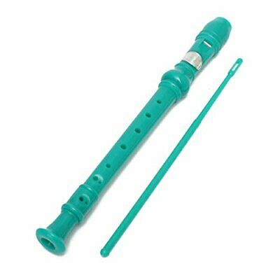 8 Hole Soprano Descant Recorder With Cleaning Rod  Case Bag Music Instrument