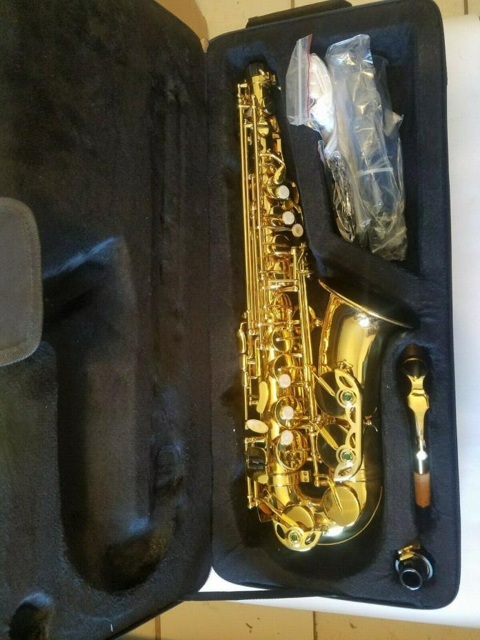 Professional Eb Alto Sax Saxophone School Paint with Case Mouthpiece Carekit