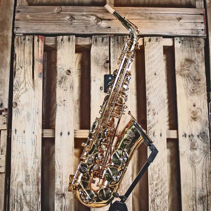 Selmer Reference 54 Dragonbird Alto Saxophone USED