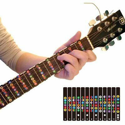 Guitar Trainer Color Coded Fretboard Map Note Stickers For Beginner / Learning