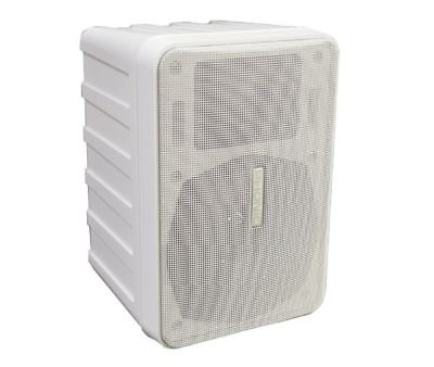 Phonic SE206 Indoor Outdoor All Weather Speaker White -Free Shipping