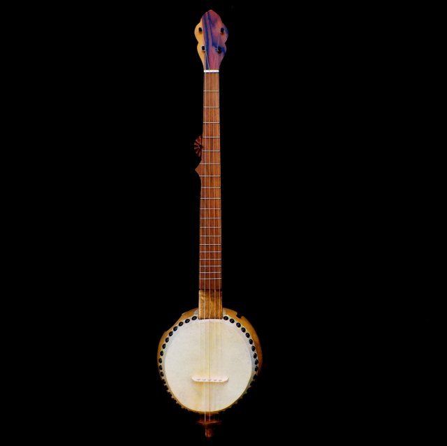 Barry Sholder gourd 5 string banjo #354 Irma