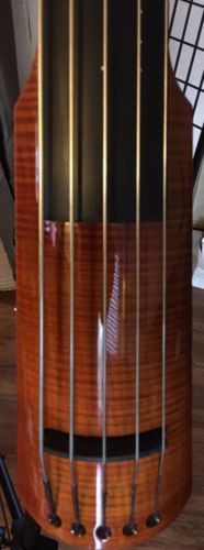 NEW NS DESIGN WAV5 WAV 5 ELECTRIC UPRIGHT BASS