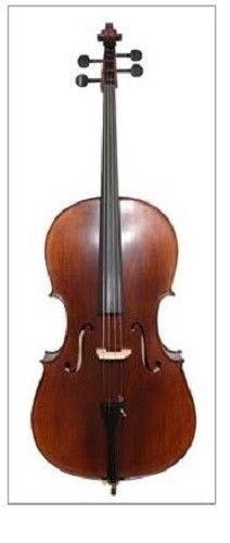 Cello, string  musical instrument, violin group, case and bow, best seller
