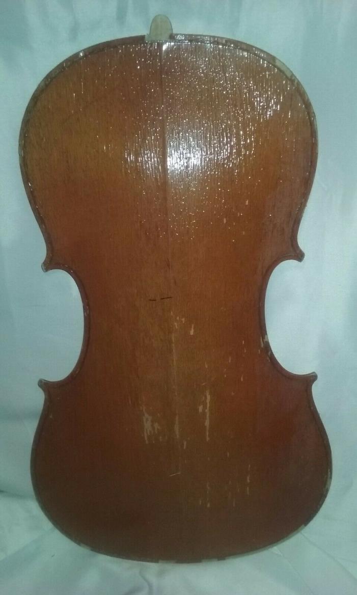 cello 3/4  back  karl knilling