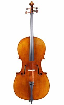 Raul Emiliani VC928 Cello