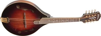 Washburn TCMA43SWK-LTD Timeless mandolin solid reclaimed European Fir