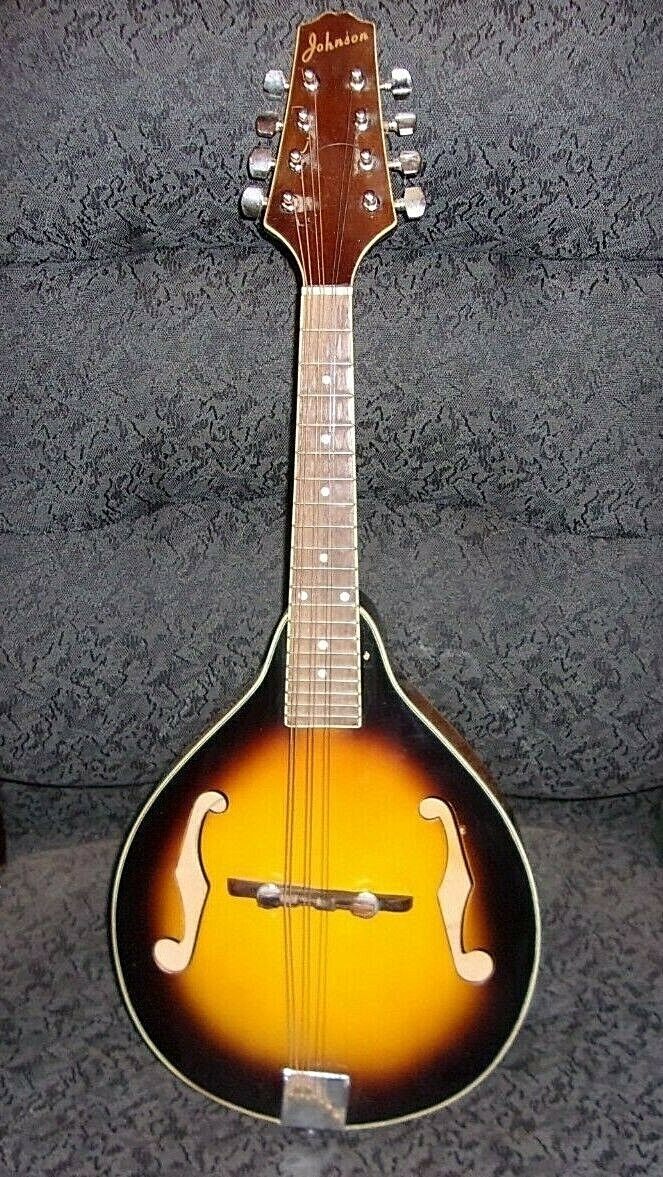 Vintage Johnson Mandolin 8-String