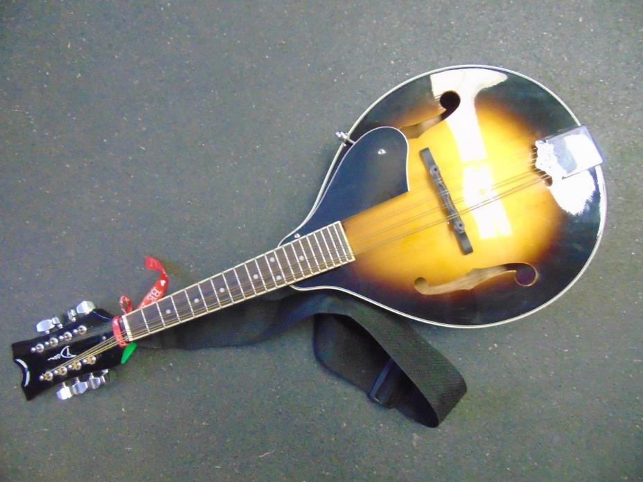 Dean Tennessee Mandolin - Acoustic Mandolin WOW IT IS A BEAUTY!!!!
