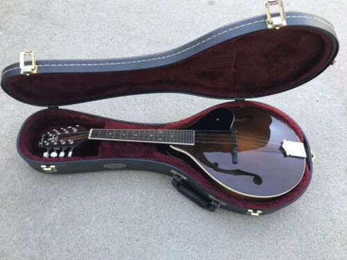Kentucky km250s style mandolin hard case Nice!