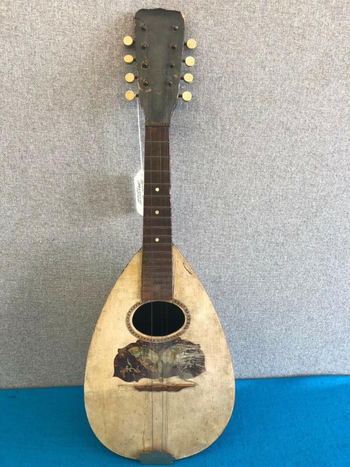 Vintage Bowl Back Mandolin w/ Case - For Repair