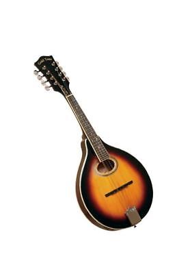 Store Demo | Gold Tone GM-50 A-Style Mandolin