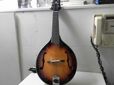 Gold Tone Mandolin GM-6 (SBL000913)