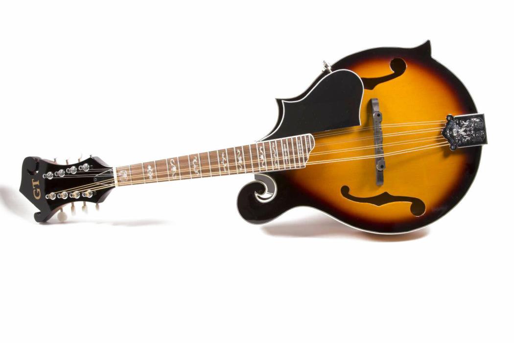 Gold Tone F-Style Mandolin semi Hard Case Blem