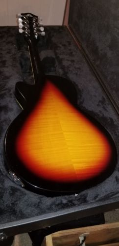 Dillion mandolin DLPM-008 FE/ACTBarely used..new conditions no blemishes.w/case