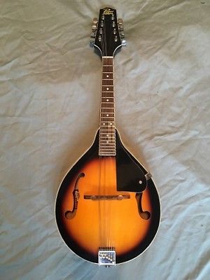 Rogue RM-100A  Mandolin