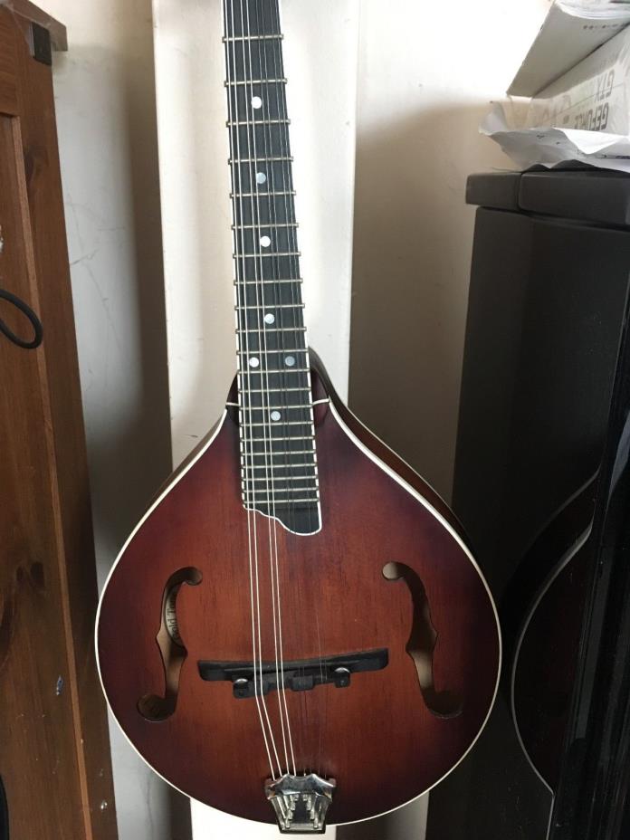 Gold Tone GM-55A Solid Top A-Style Mandolin