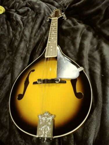 Rogue RM-100A  Mandolin~ Beautiful condition