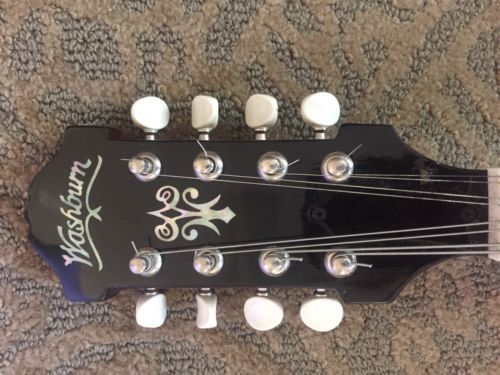 Washburn Mandolin Pristine Condition M1-SB