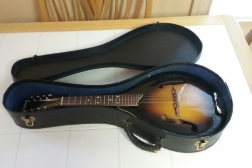 Vintage mandolin with case