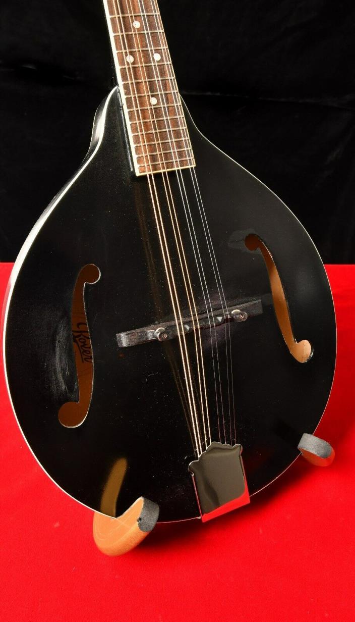 LOT# P-491 USED RM-35B ROVER MANDOLIN