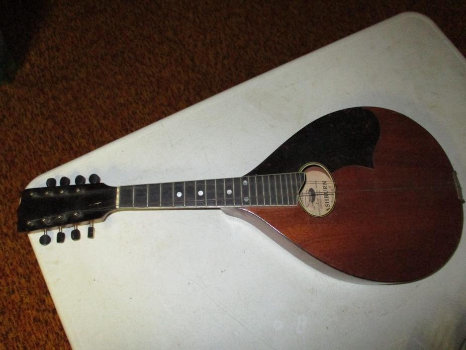 1920's Washburn Mandolin