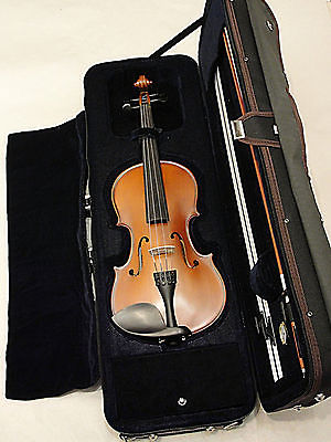 Palatino VN-650 Genoa Intermediate Violin Outfit  4/4 Size Full size
