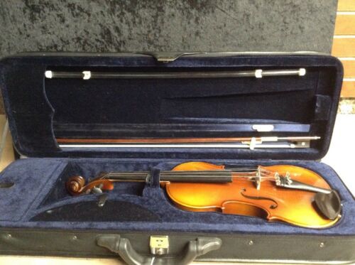 Florencia Violins Fv100