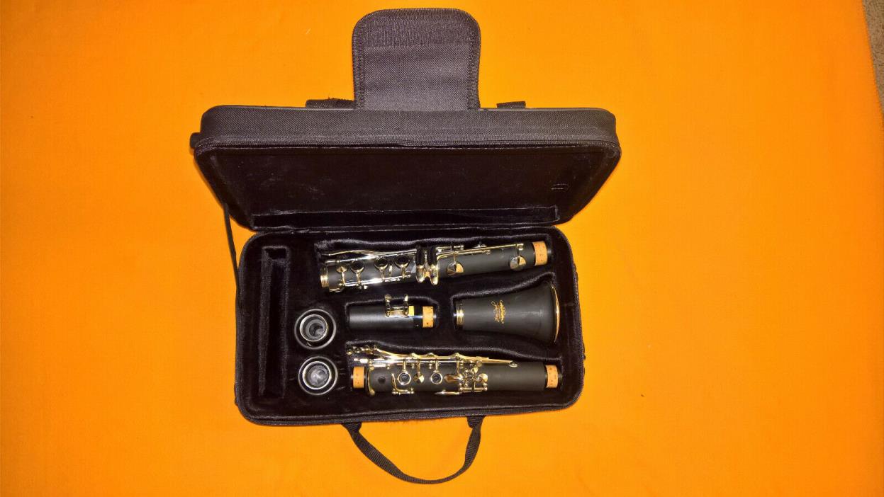 Jean Paul USA CL-300 Clarinet NEW used once just to test plays sounds great