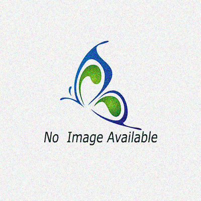 16GB 233X PREMIUM COMPACTFLASH MEMORY CARD