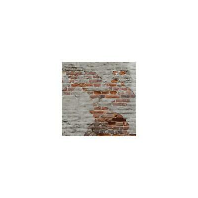 Lastolite Urban Collapsible 5x7' (1.5x2.1m) Rusty Metal/Plaster Wall Background
