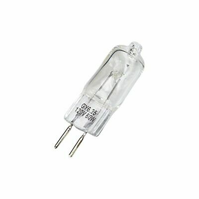 Fotodiox JCD Type 60w 120v GY6.35 (2Pin Base) Clear Halogen Light Bulb, Replacem