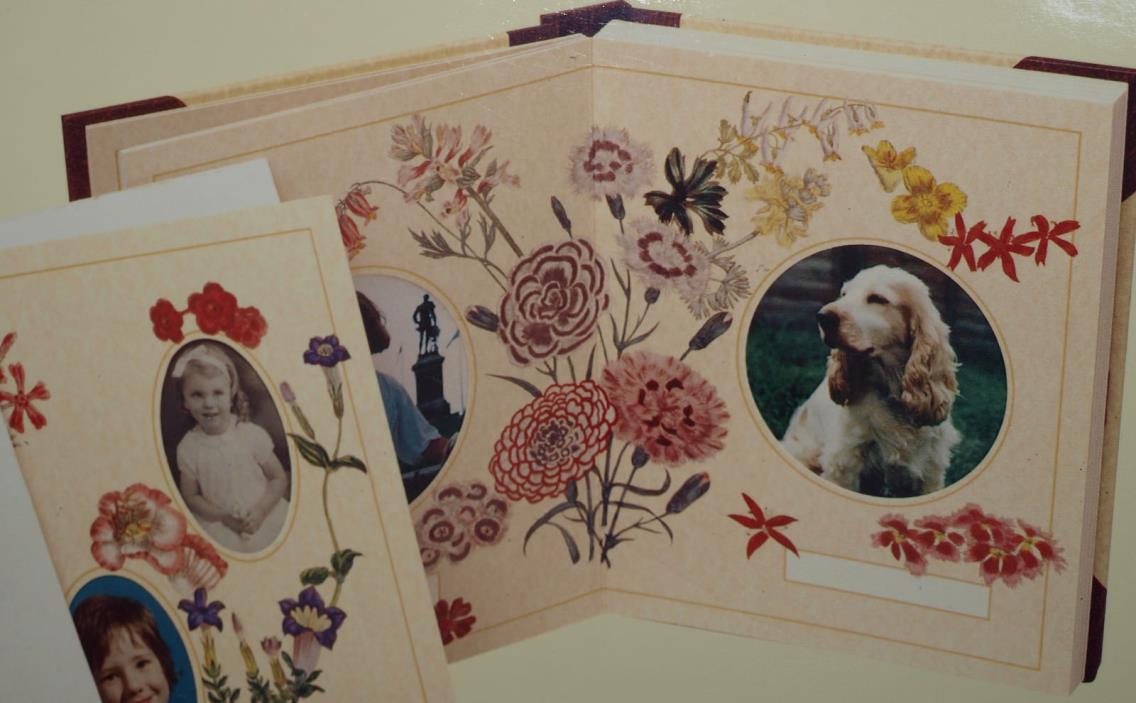 Waterlane Editions Victorian Elegance Photo Album & Photo Frames Set (see descr)