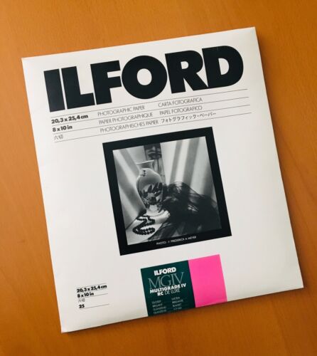 Ilford 8x10