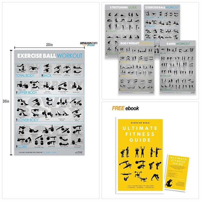 7 Exercise Fitness Posters 30”x20” Large Laminated Gym Planner Charts