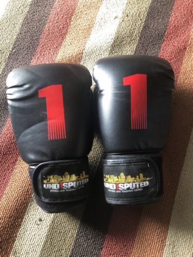 Undisputed 1 Und1sputed MMA Training Boxing Gloves