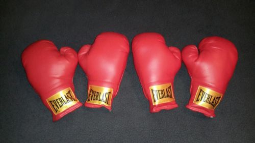 2 Pairs Of Everlast Traditional Boxing Gloves - 14oz.