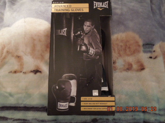 EVERLAST TRAINING BOXING GLOVES 12 OZ