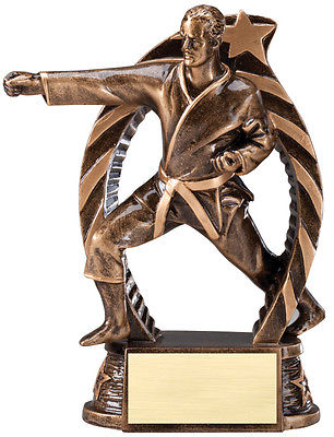 1 Male karate trophy, new design 5.5