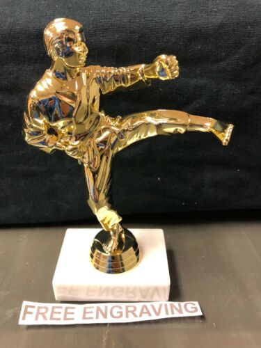 Trophy Karate or Martial Arts, includes engraving, new, about 7