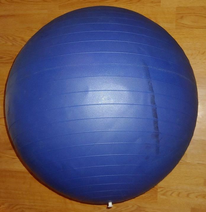 Danskin Now 65cm Premium Exercise Balance Ball